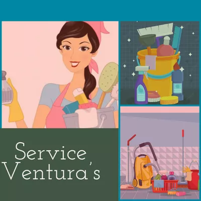 Service Venture’s LLC