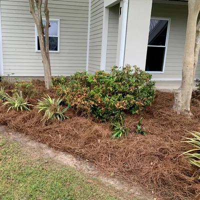 LP LawnCare