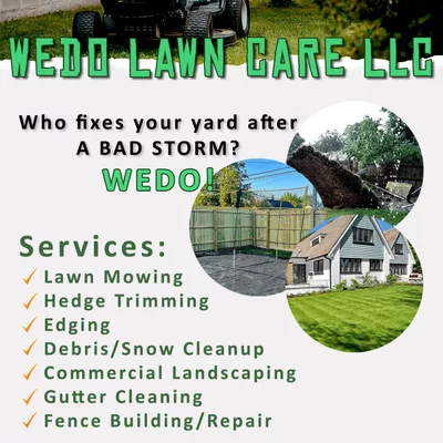 Wedo LLC