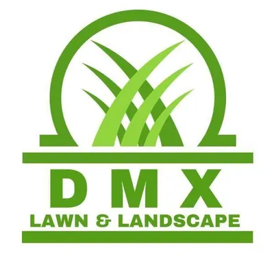 DMX Landscape