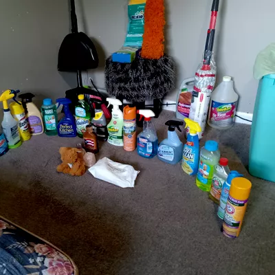 Ace plus Home Cleaning Service