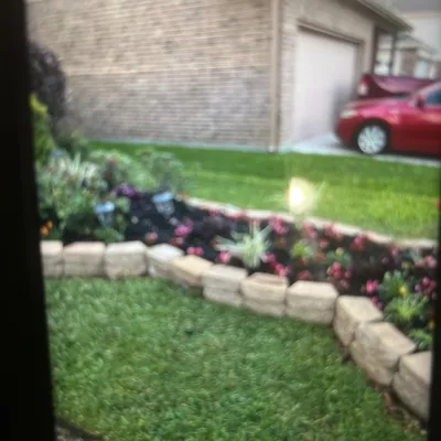 Reasonable Landscaping