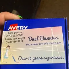 Dust Bunnies
