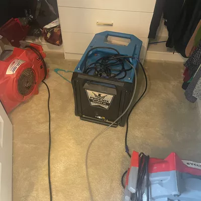 Carpe Diem WATER DAMAGE FREE Evaluation/ESTIMATE