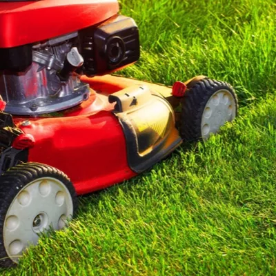 Clean Cut Lawns, LLC