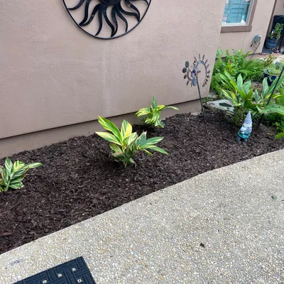 Powers LandscapingSaTx