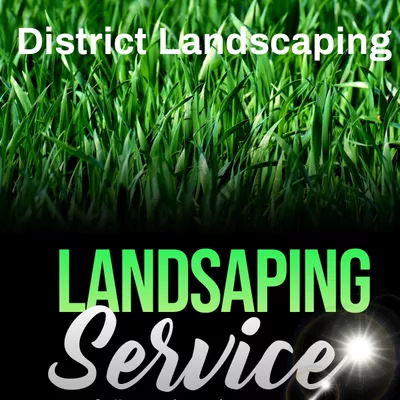 District ground management