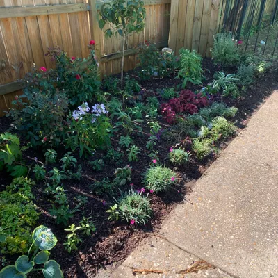 Black Diamond Landscapes