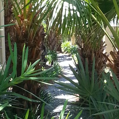 GreenTree Landscapes LLC