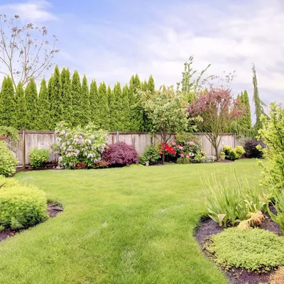 Precision lawn care & irrigation LLC