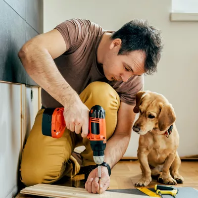 Arthur PRO Handyman