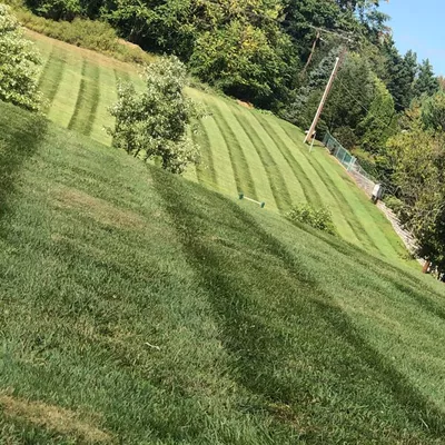My garden landscape