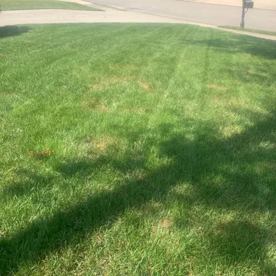 Ottinger lawn care