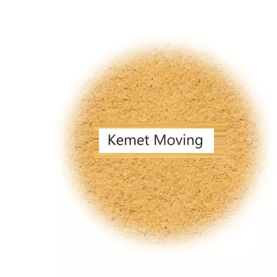 THE KEMET COMPANY