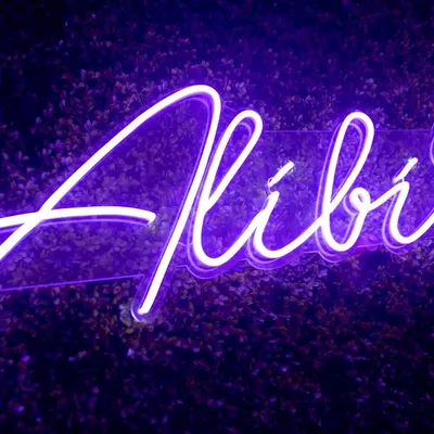 ALIBI MOVING COMPANY