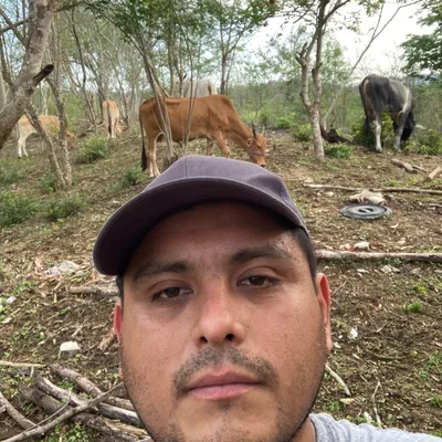 TORO landscaping LLC