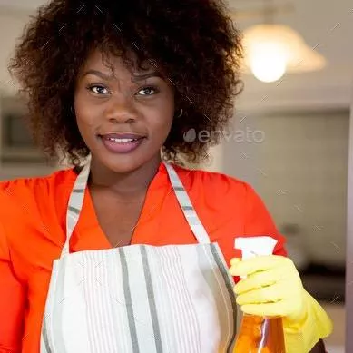 Top Quality Professional Cleaning Service