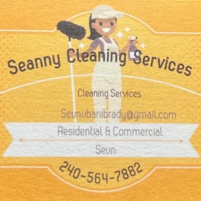 Seanney Cleaning Services