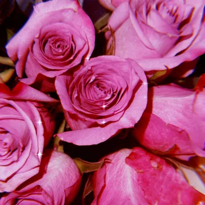 Lemon & Rose Organic Cleaning