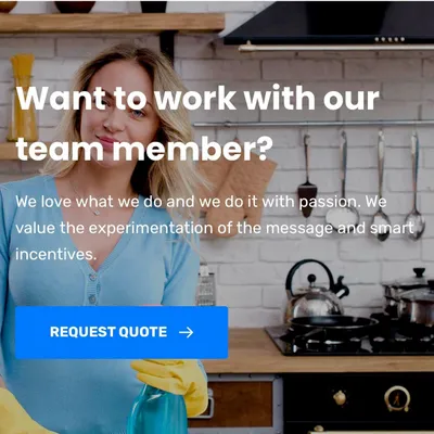 Professional Cleaning Agency