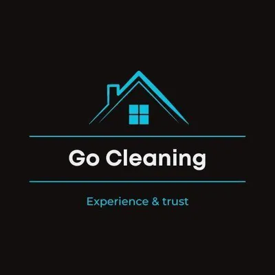 GO CLEANING PRO