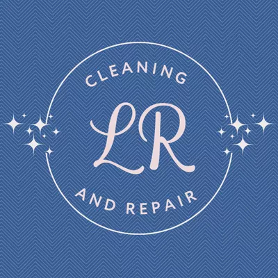 LR Cleaning and Repair Solutions LLC