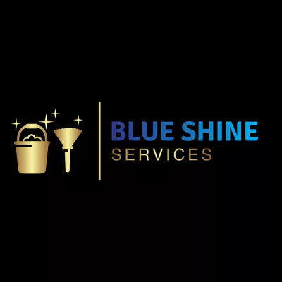 Blue Shine Services LLC