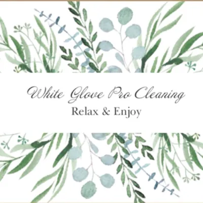 White Glove Pro Cleaning