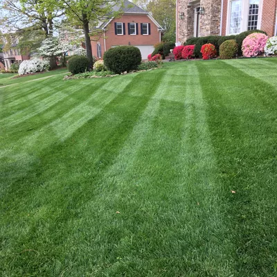 Jose landscaping