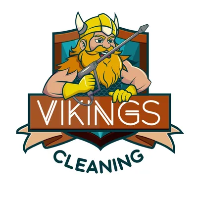 Vikings cleaning services FL