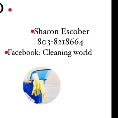 THE CLEANING WORLD