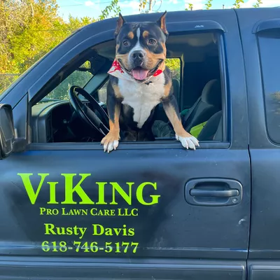 ViKing Pro Lawn Care LLC