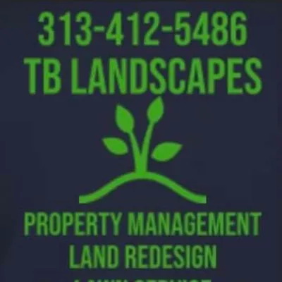 TB landscapes