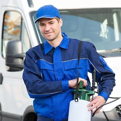 Metro One Pest Control
