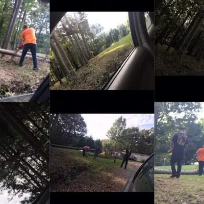 Stancil Housekeeping& tree removal