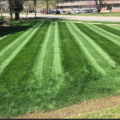 Vega lawn & landscaping and house cleaning