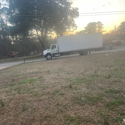 Dameluz moving