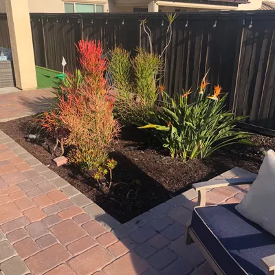 Riveras Gardening