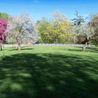 Cedar Tree Properties