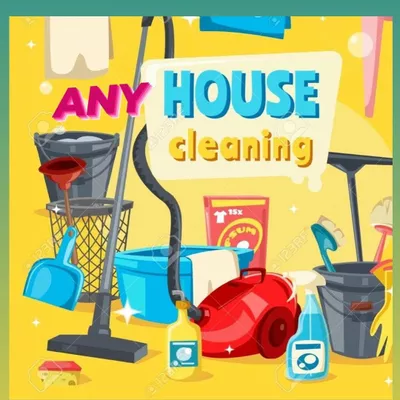 Any house cleaning services