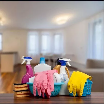 All Need Cleaning Services