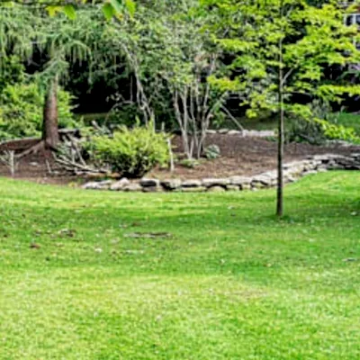 Acosta landscaping