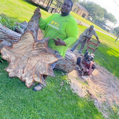 Jackson and Jackson landscaping