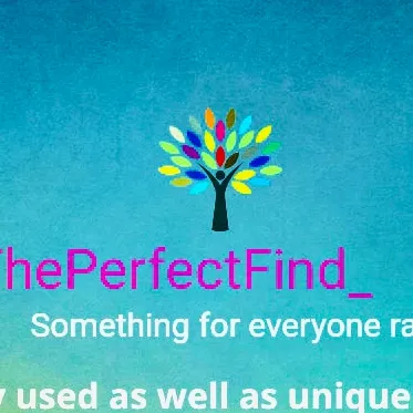 The Perfect Find