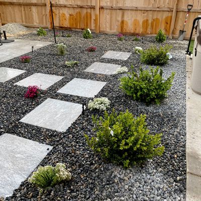 Colorado Lawn & Landscape Services