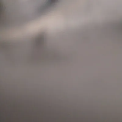 ty