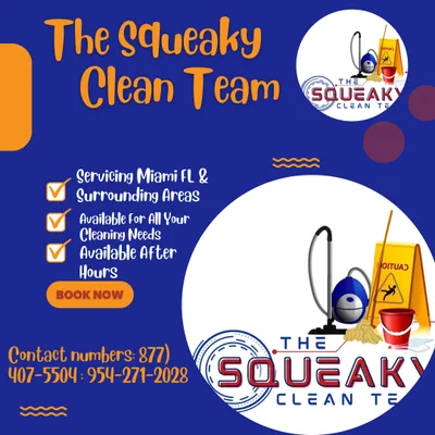 The Squeaky Clean Team LLC