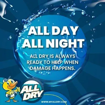 All Dry Services of East Richmond