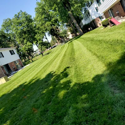 Shoffnerhouse