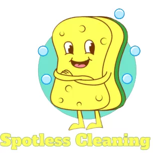 DMV Spotless Cleaning Services